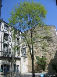 cliquez ici pour agrandir les photos de cette location &agrave; la_rochelle